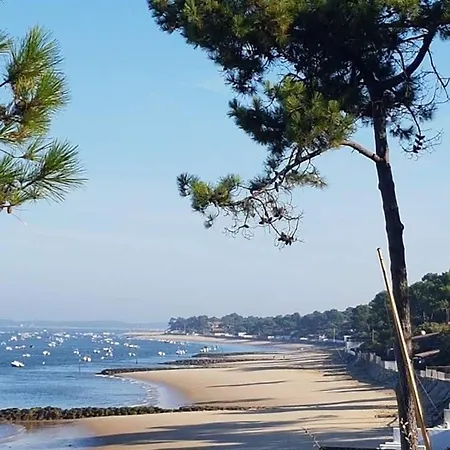 Maison Charmante 아파트 *